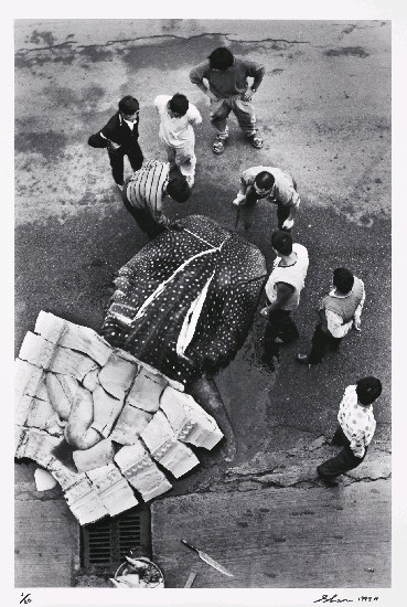 藏品:映像南方澳系列-10的(1)張圖片