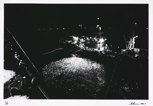 藏品:映像南方澳系列-18的(1)張圖片