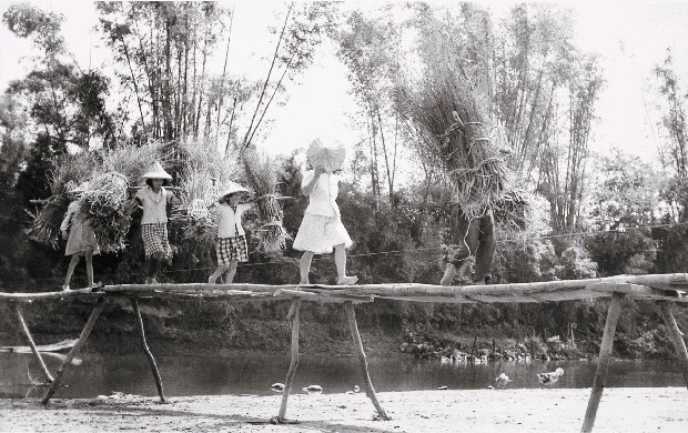 藏品:戰前戰後系列-收穫回家(新竹鄉下)的(1)張圖片