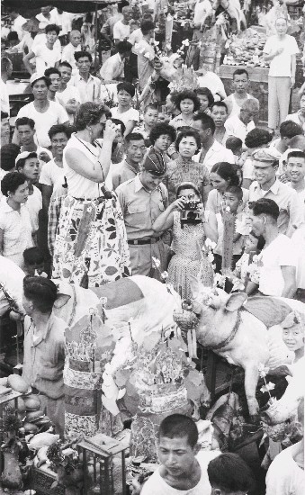 藏品:三峽系列-4的(1)張圖片