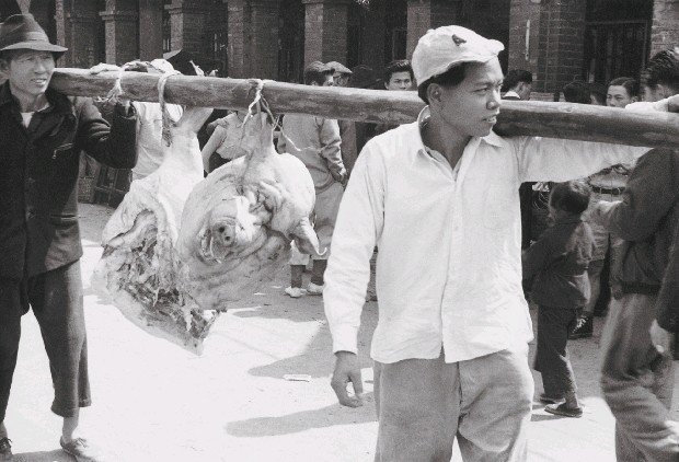 藏品:三峽系列-26的(1)張圖片