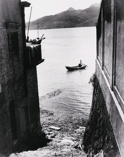 藏品:淡水河濱地帶的(1)張圖片