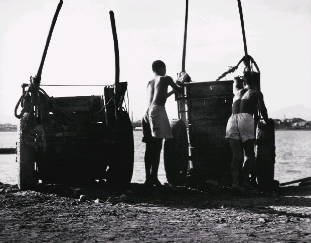 藏品:農車的(1)張圖片