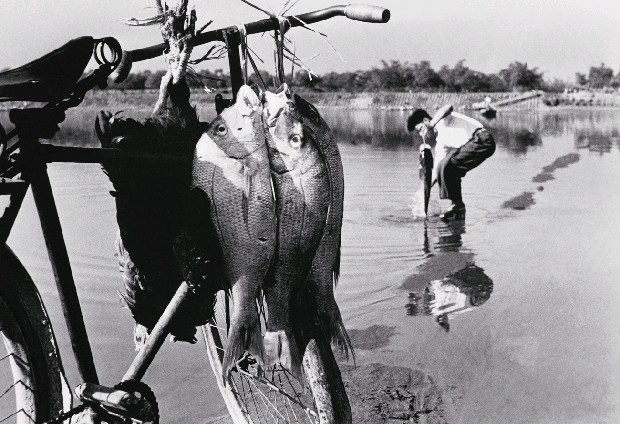 藏品:淡水河畔的(1)張圖片