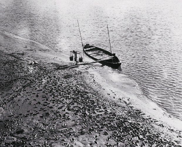 藏品:水肥船的(1)張圖片