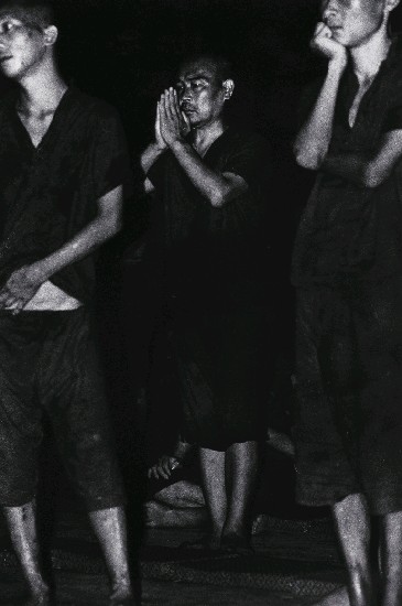 藏品:龍發堂系列-3的(1)張圖片