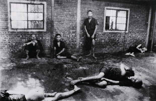 藏品:龍發堂系列-5的(1)張圖片