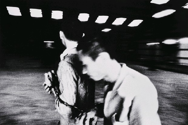 藏品:龍發堂系列-6的(1)張圖片