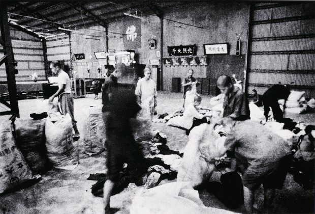 藏品:龍發堂系列-8的(1)張圖片