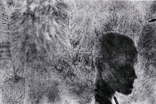 藏品:龍發堂系列-12的(1)張圖片