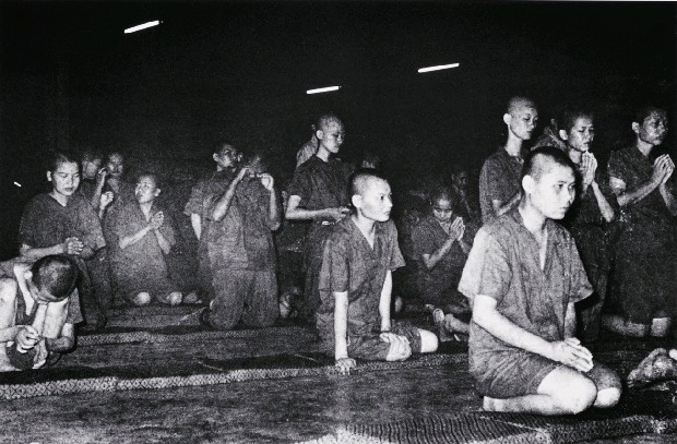 藏品:龍發堂系列-14的(1)張圖片