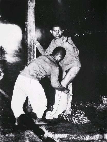 藏品:龍發堂系列-19的(1)張圖片