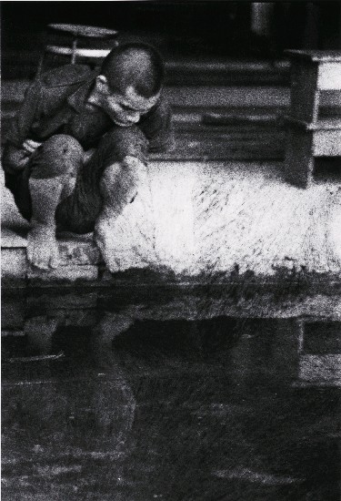 藏品:龍發堂系列-20的(1)張圖片