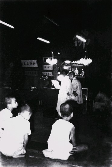 藏品:龍發堂系列-21的(1)張圖片