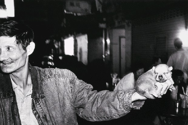 藏品:解嚴前後系列-1的(1)張圖片