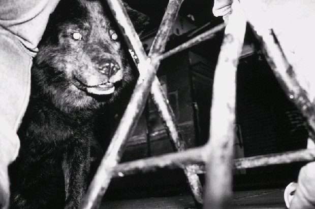 藏品:解嚴前後系列-2的(1)張圖片