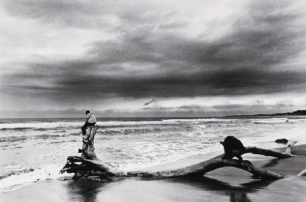 藏品:解嚴前後系列-6的(1)張圖片