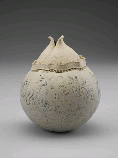 藏品:豆莢結構的(1)張圖片