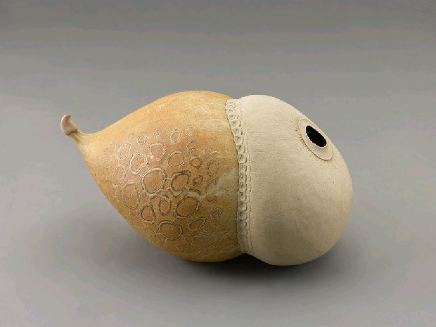 生物型態的焦點圖