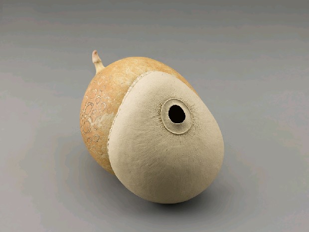 藏品:生物型態的(2)張圖片