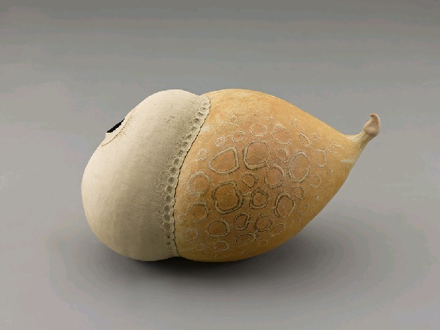 藏品:生物型態的(3)張圖片