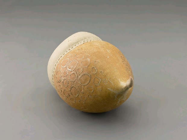 藏品:生物型態的(4)張圖片