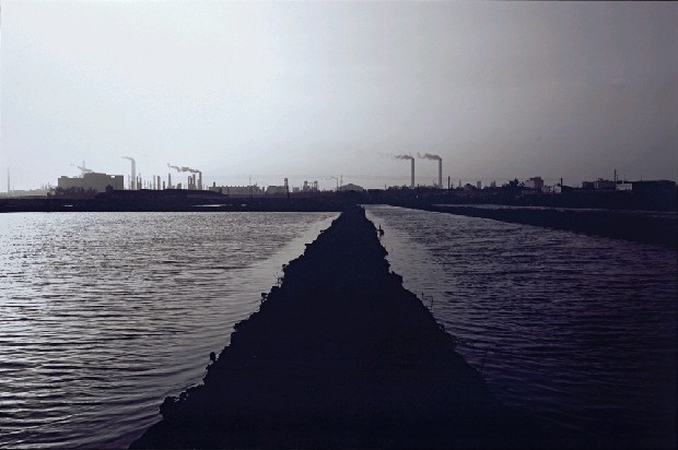 藏品:天堂邊緣的(3)張圖片