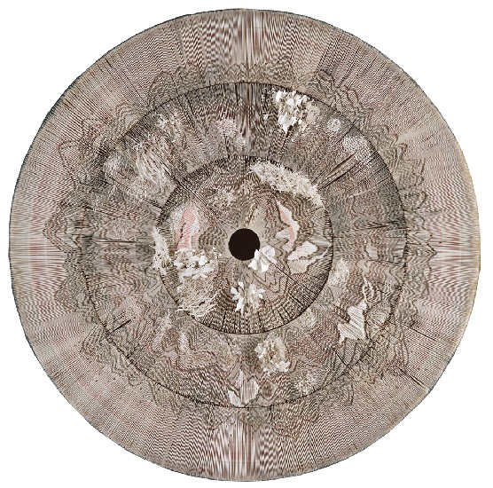 藏品:走在花的夢境的(1)張圖片