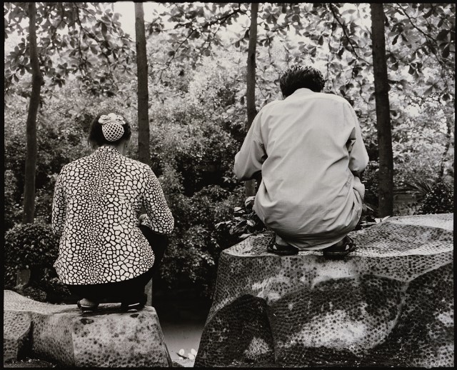 藏品:囍的(1)張圖片