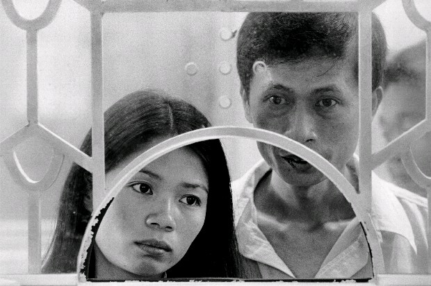 藏品:囍的(22)張圖片