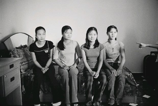 藏品:囍的(30)張圖片