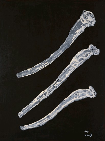 藏品:海洋．生態4的(1)張圖片