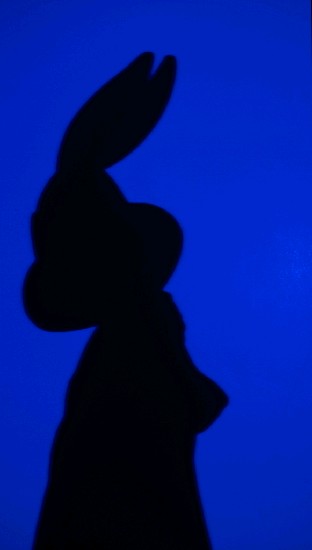 藏品:萬物有靈﹣畸形或演進的(7)張圖片