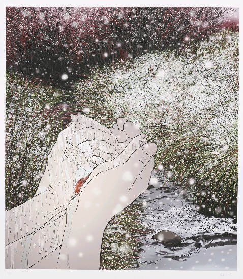 藏品:擁抱的(3)張圖片