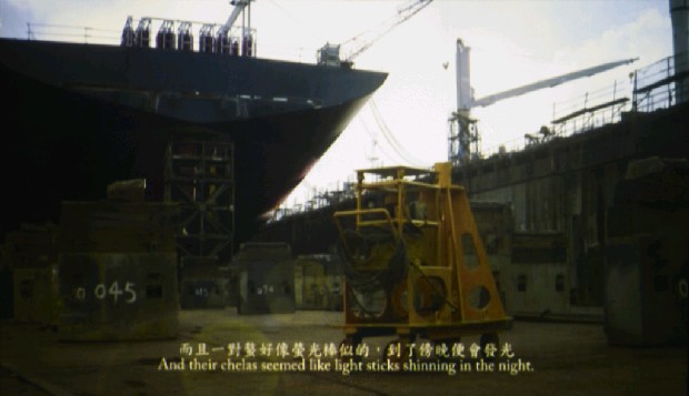 藏品:和平島故事的(3)張圖片