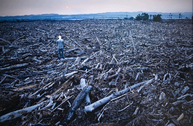 藏品:台灣「美景」系列之「漂流木」的(1)張圖片