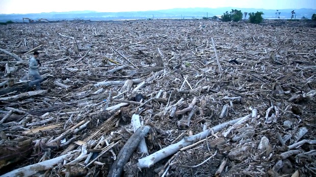 藏品:台灣「美景」系列之「漂流木」的(2)張圖片