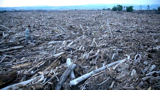 藏品:台灣「美景」系列之「漂流木」的(3)張圖片