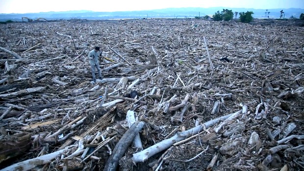 藏品:台灣「美景」系列之「漂流木」的(5)張圖片