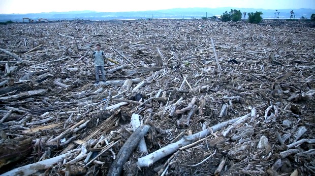 藏品:台灣「美景」系列之「漂流木」的(6)張圖片