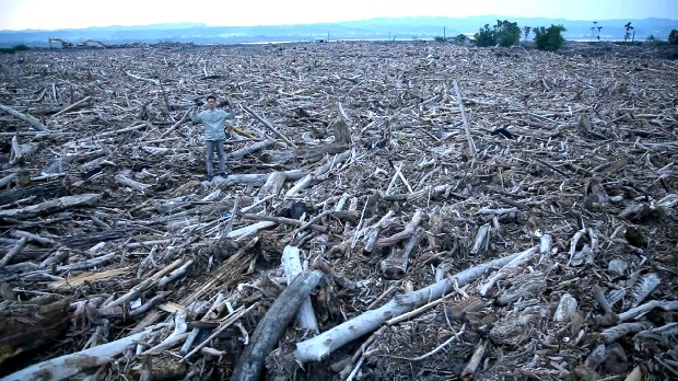藏品:台灣「美景」系列之「漂流木」的(7)張圖片