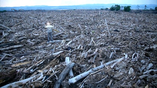 藏品:台灣「美景」系列之「漂流木」的(8)張圖片