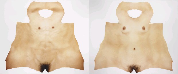 藏品:再造物語－男與女的(1)張圖片