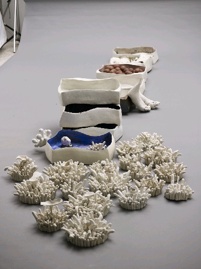 藏品:抽屜用強壯的外殼藏匿瑣碎的真實的(1)張圖片