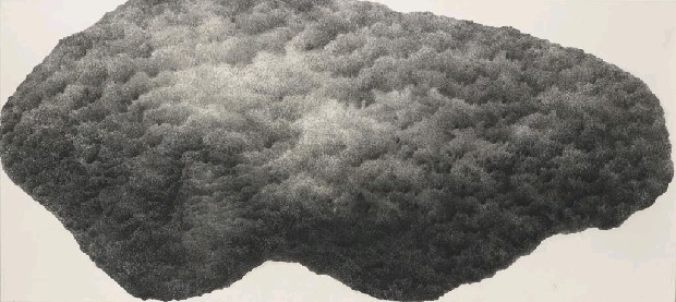 藏品:大石頭之一的(1)張圖片