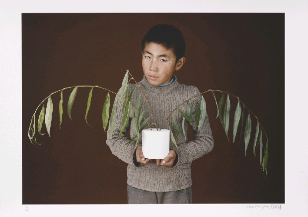 藏品:「野想」－ 黃羊川計畫 VI的(13)張圖片