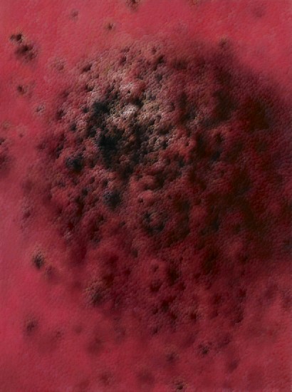 藏品:觀察紀錄-7的(1)張圖片