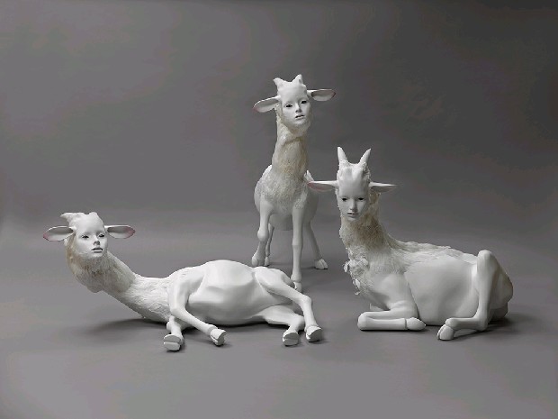 藏品:The Dolly的(1)張圖片