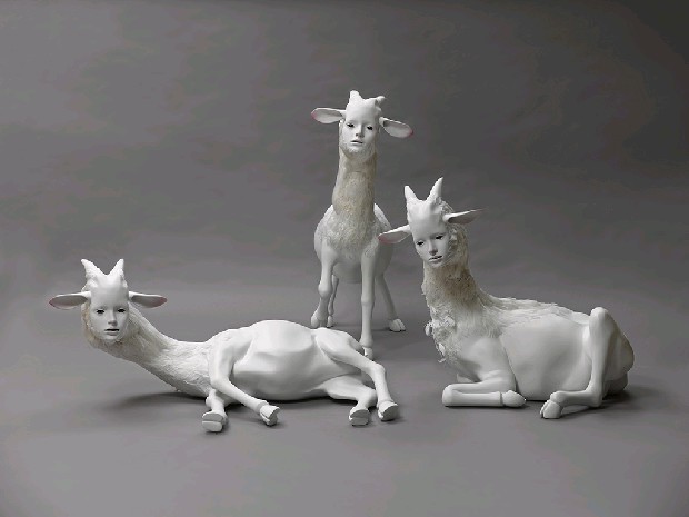 藏品:The Dolly的(2)張圖片