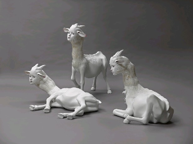 藏品:The Dolly的(3)張圖片